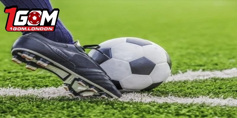Bảng dữ liệu tỷ số bóng đá chi tiết